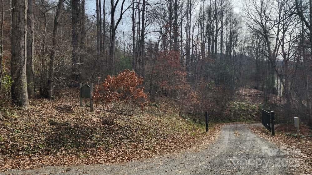 Lot at Waynesville, photo 6 of 33