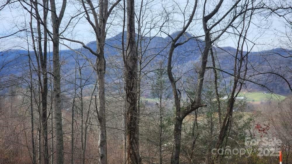 Mountain views - Waynesville