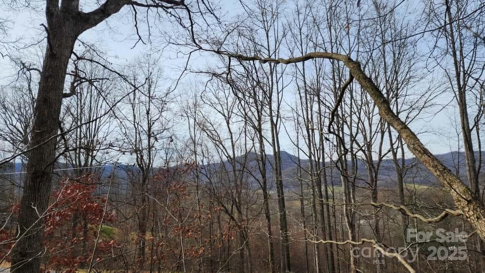Mountain views - Waynesville