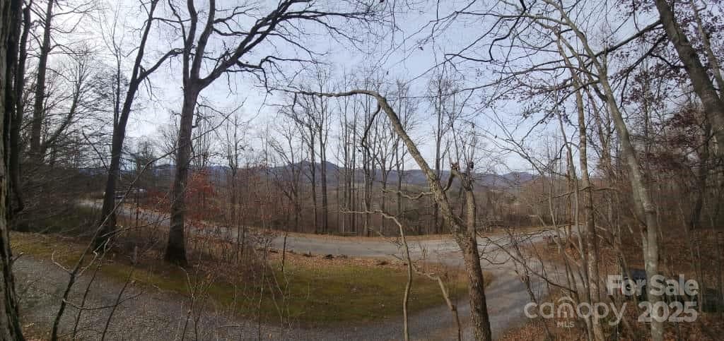 Lot at Waynesville, photo 10 of 33