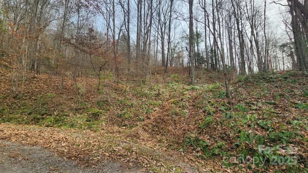 Lot at Waynesville, photo 11 of 33