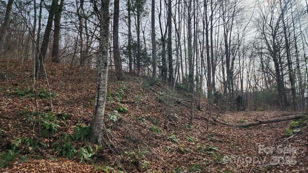 Lot at Waynesville, photo 12 of 33