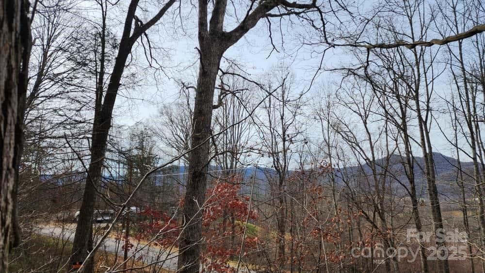 Lot at Waynesville, photo 13 of 33