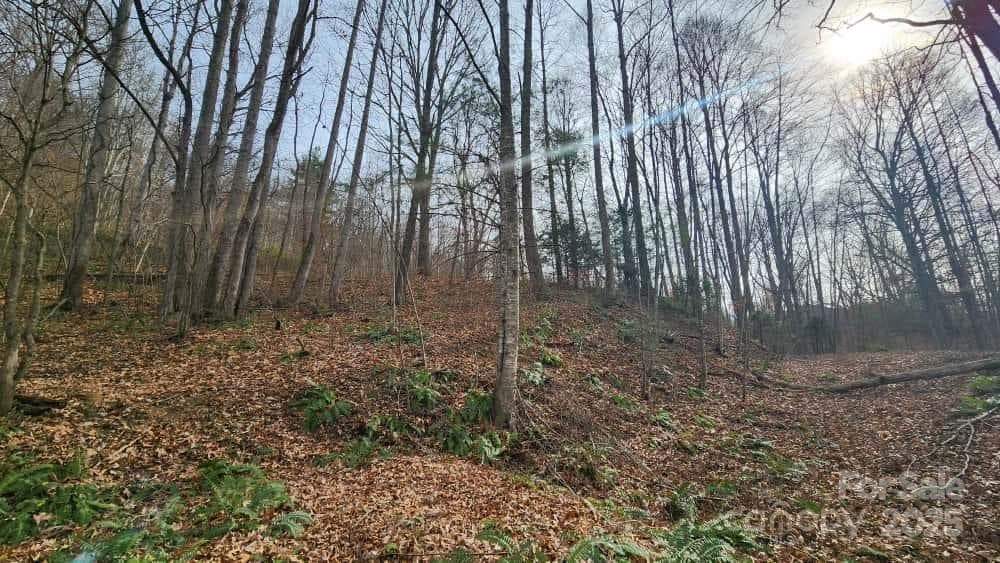 Lot at Waynesville, photo 14 of 33