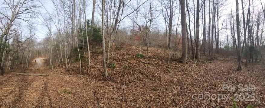 Lot at Waynesville, photo 15 of 33
