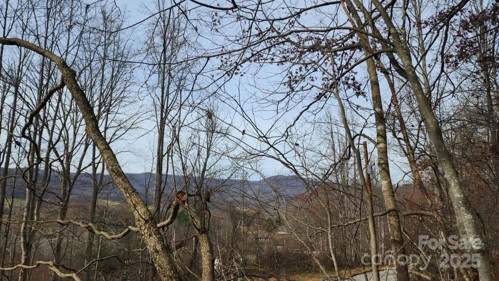 Lot at Waynesville, photo 16 of 33