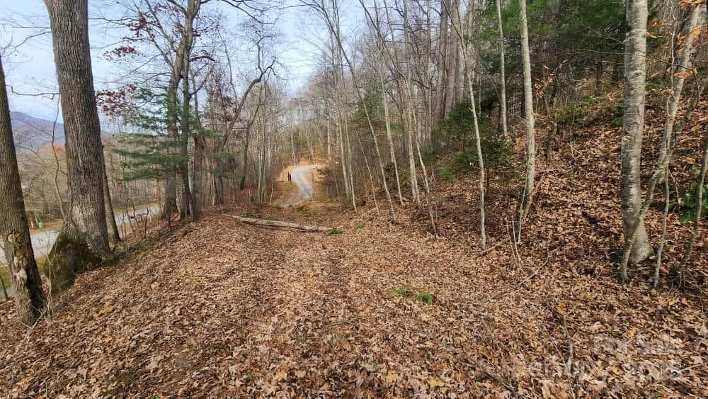 Lot at Waynesville, photo 17 of 33