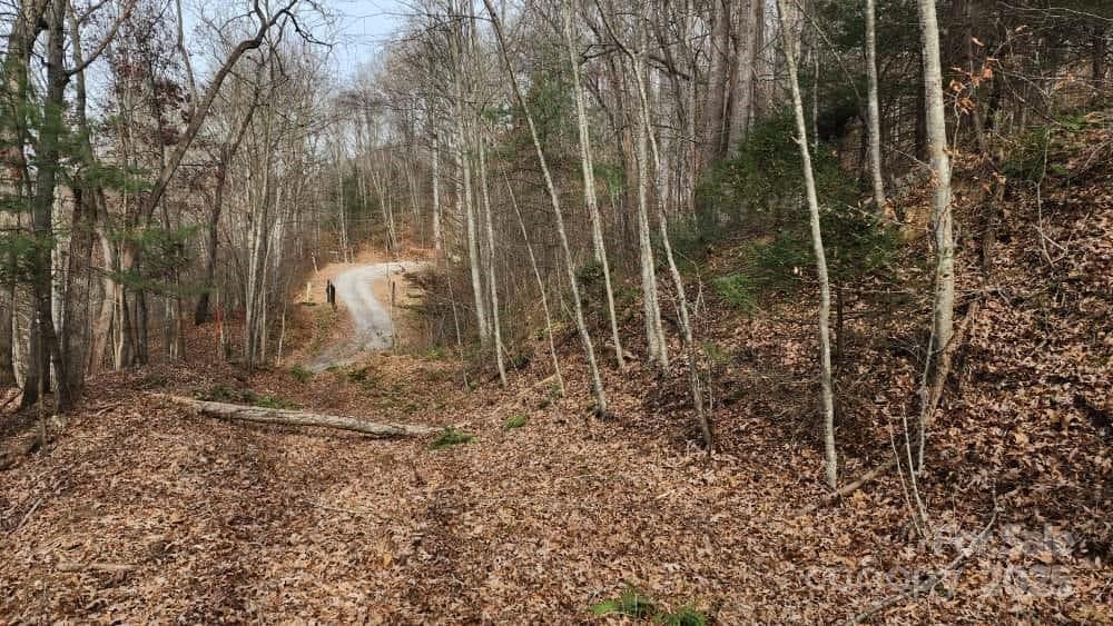 Lot at Waynesville, photo 18 of 33