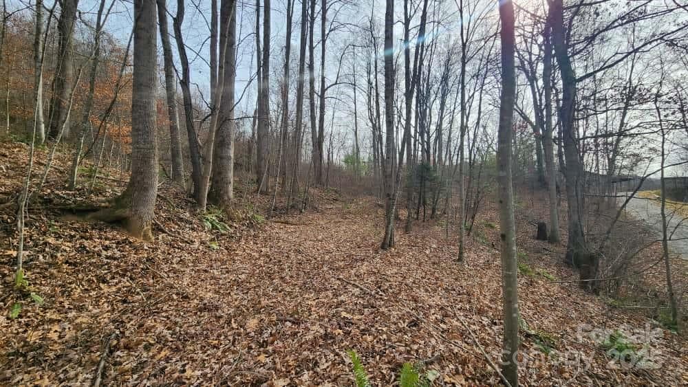 Lot at Waynesville, photo 19 of 33