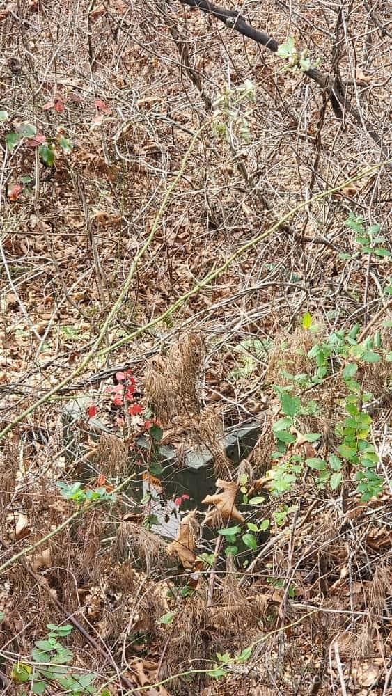 Underground Electricity available at the edge of property - Waynesville