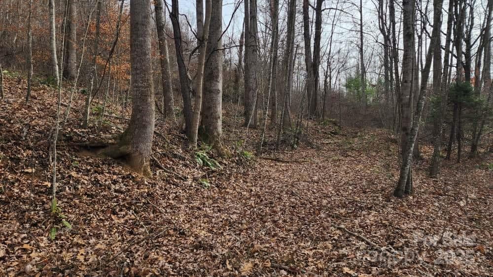 Lot at Waynesville, photo 21 of 33
