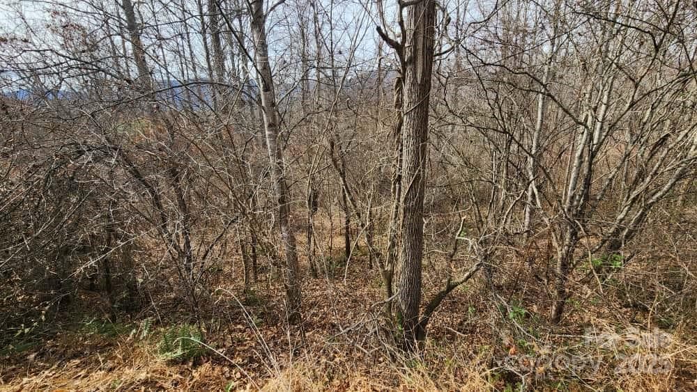 Lot at Waynesville, photo 22 of 33