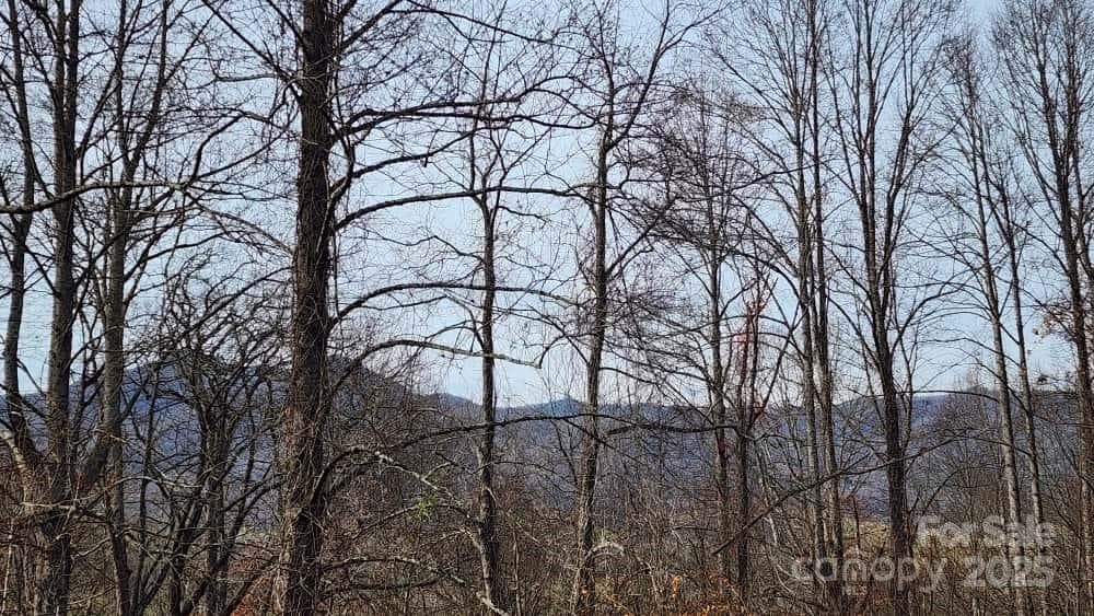 Lot at Waynesville, photo 23 of 33