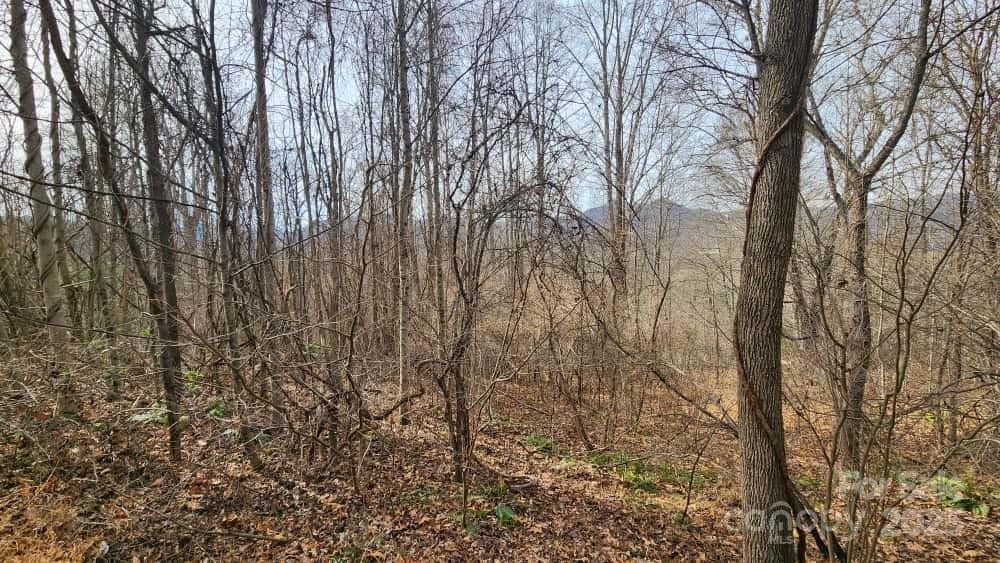 Lot at Waynesville, photo 24 of 33