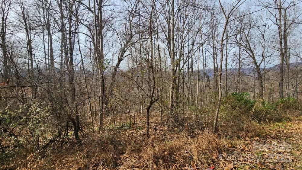 Lot at Waynesville, photo 25 of 33