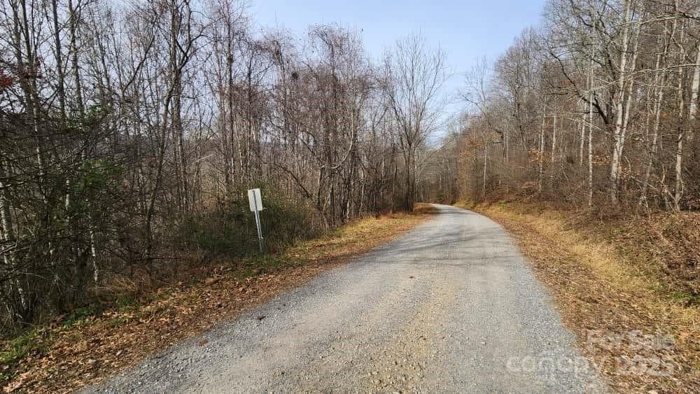 Lot at Waynesville, photo 26 of 33