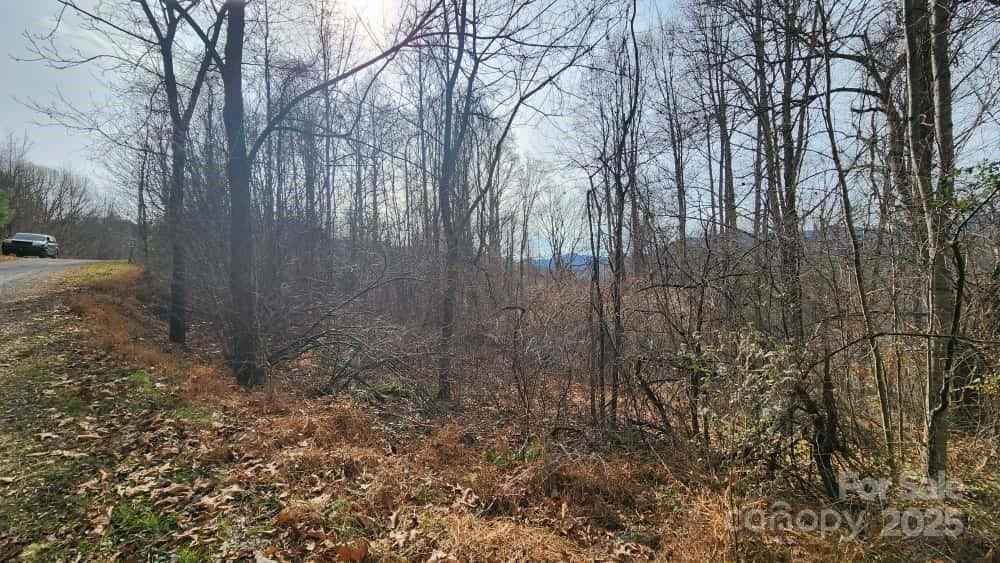 Lot at Waynesville, photo 27 of 33