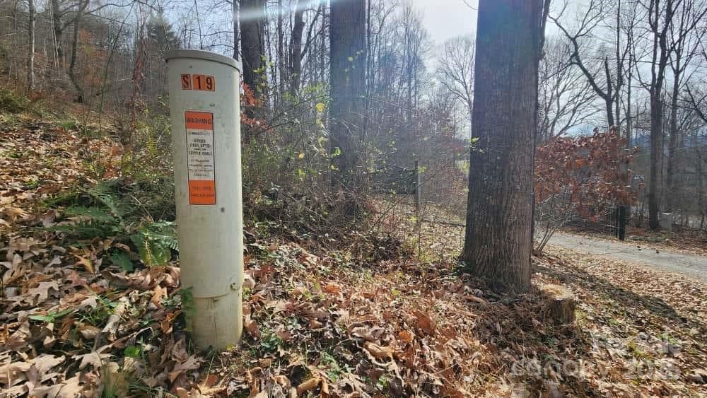 Lot at Waynesville, photo 29 of 33
