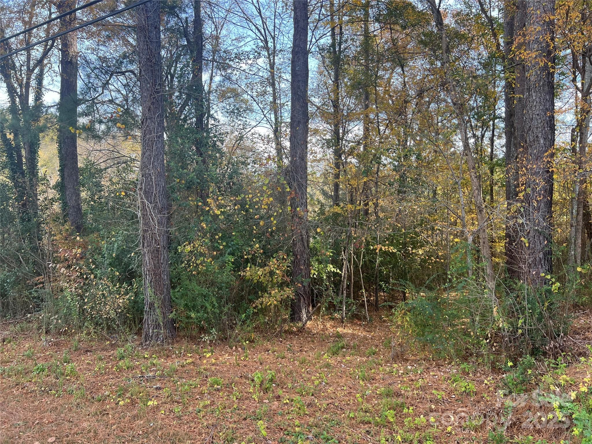 Lot at 0 Alexander Street, Dallas, photo 2 of 3