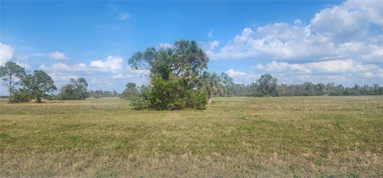 Land at 13014 EMERALD RD, PLACIDA, photo 8 of 13