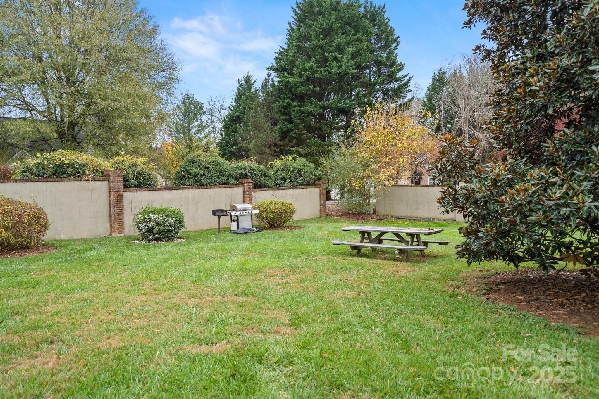 Back Yard - 27 Capri Lane, Hendersonville