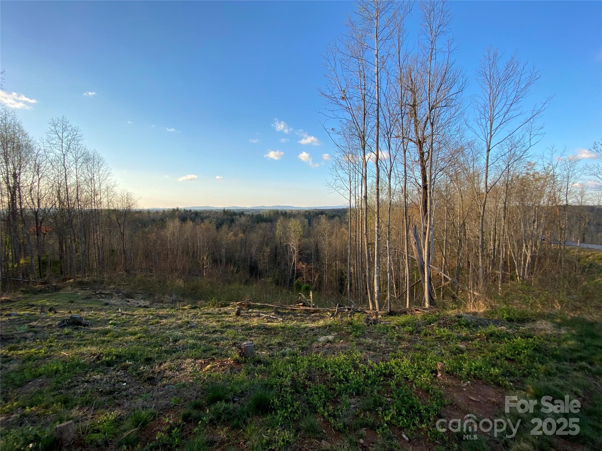 Lot at Lenoir, photo 4 of 46