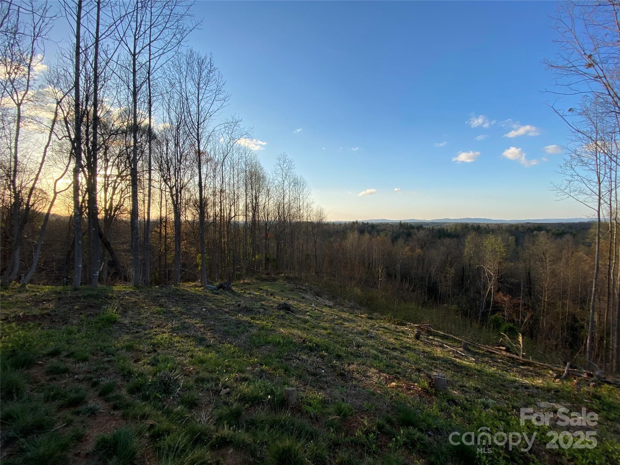 Lot at Lenoir, photo 5 of 46