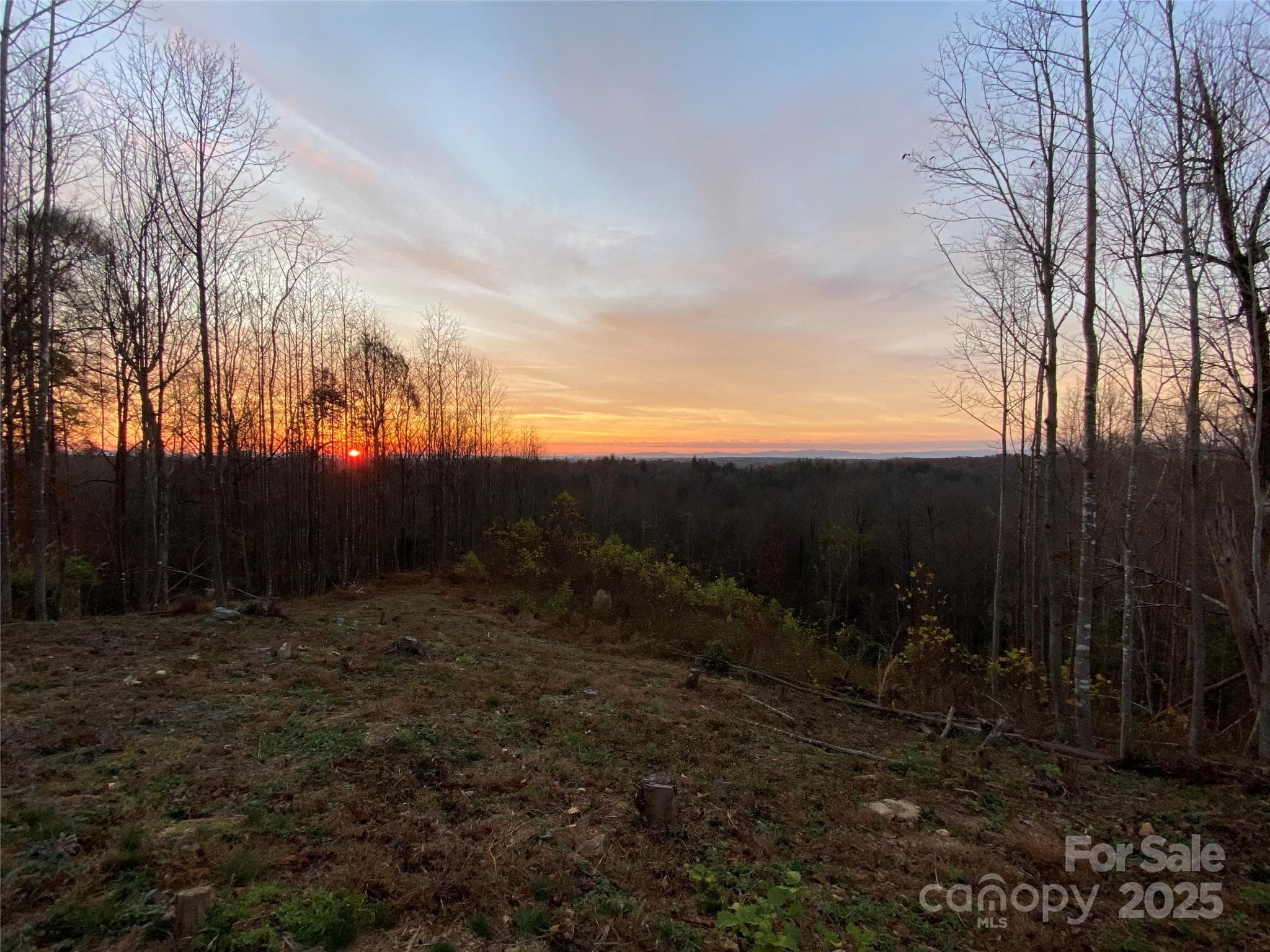 Lot at Lenoir, photo 6 of 46