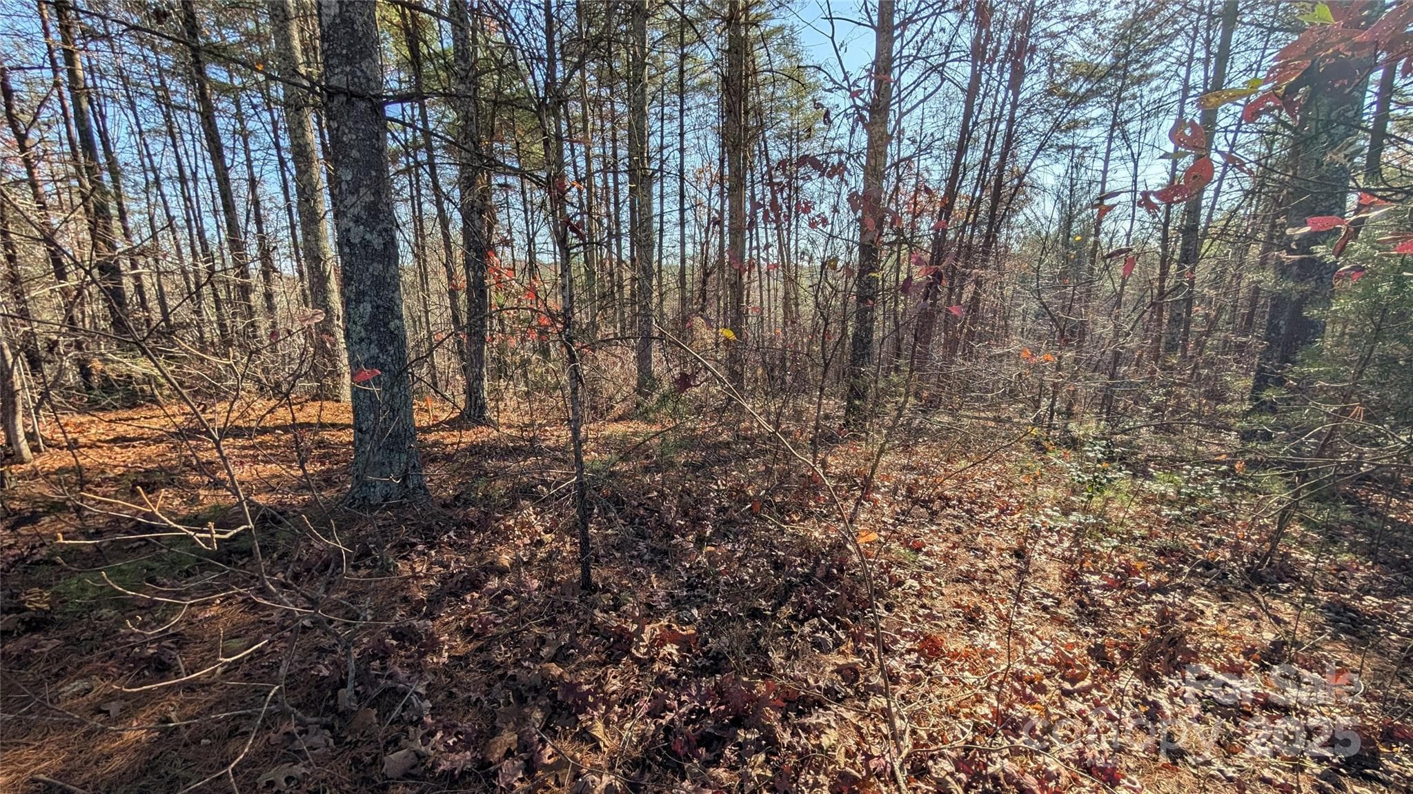 Acreage at Morganton, photo 3 of 6