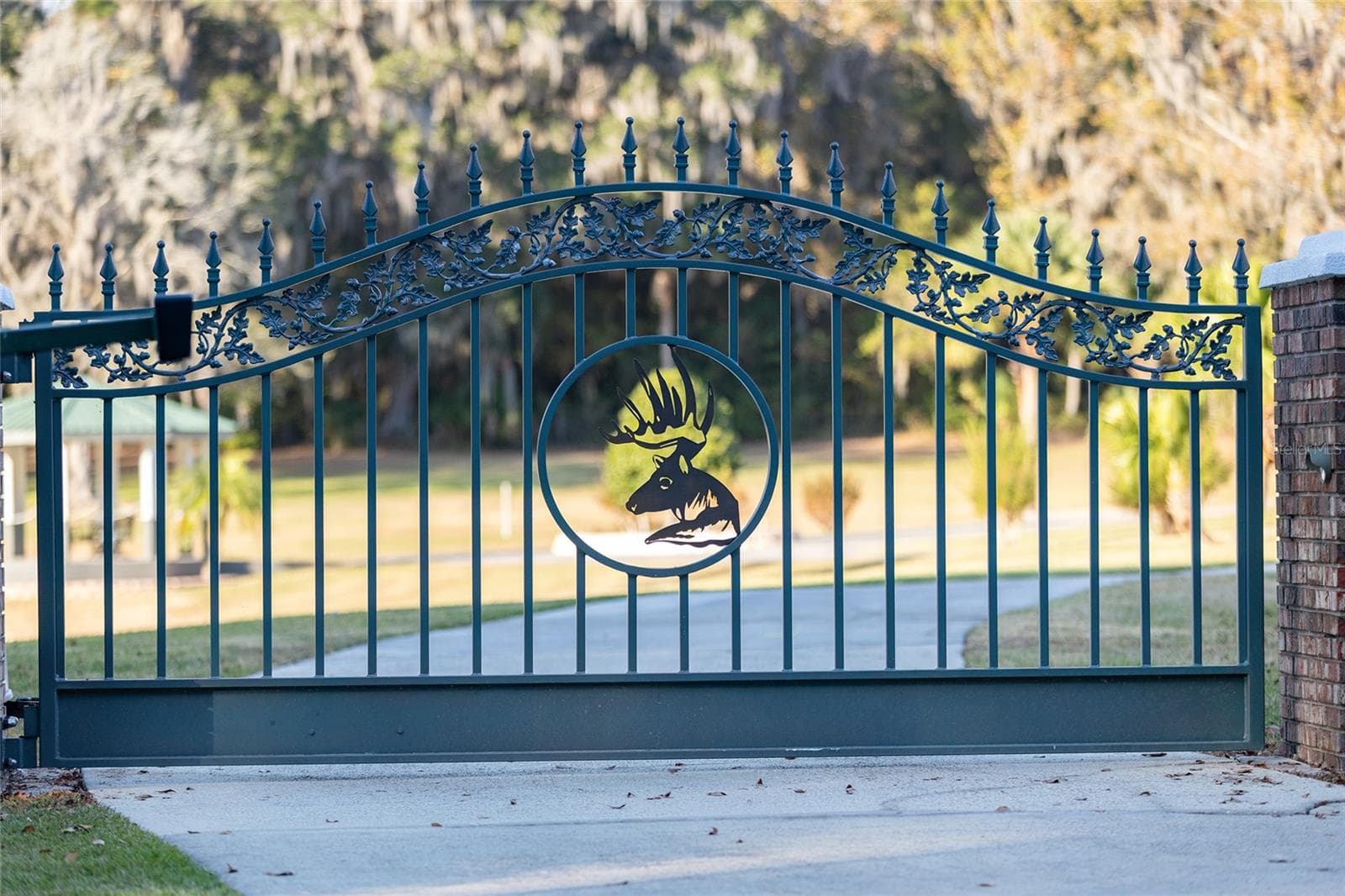 Single Family Residence at 255 SW 96TH LN, OCALA, photo 5 of 88