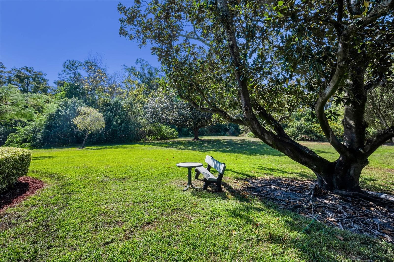 Condominium at 36750 US HIGHWAY 19 N #28-2017, PALM HARBOR, photo 40 of 69