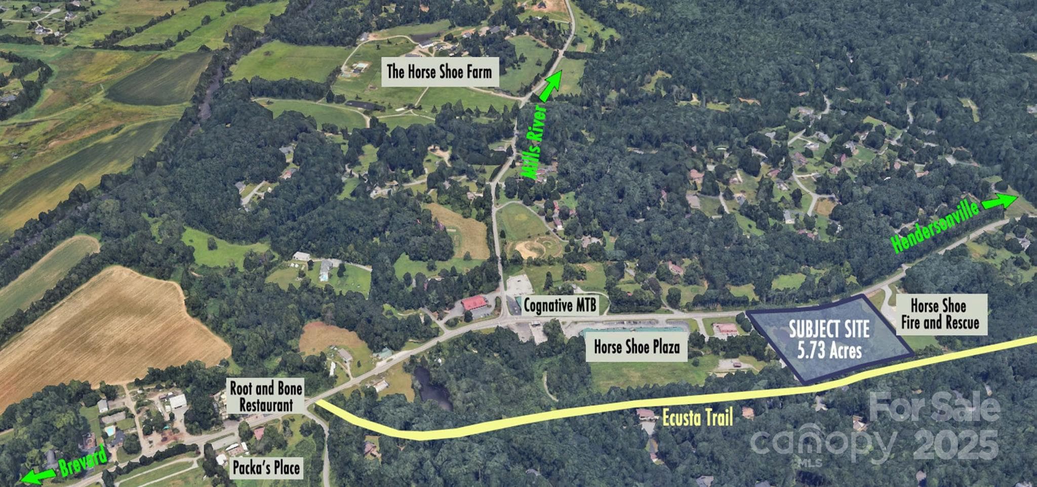 Aerial View of Subject Property and Surrounding Area - Hendersonville