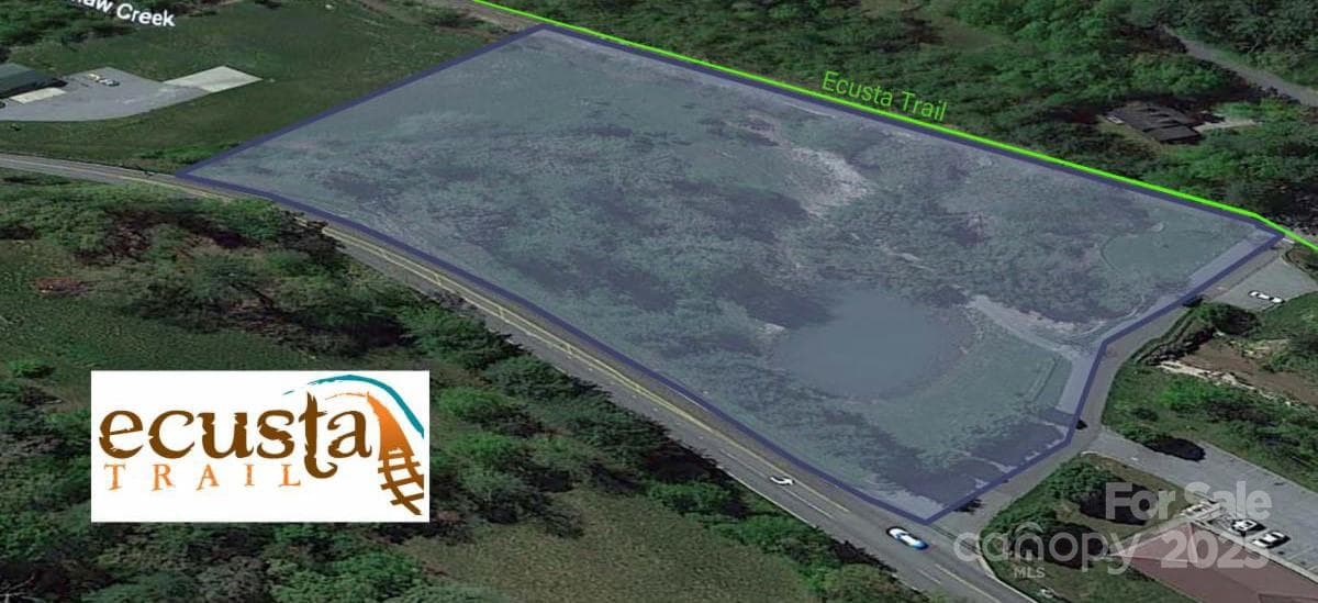 Large Scale of Subject Property - Hendersonville