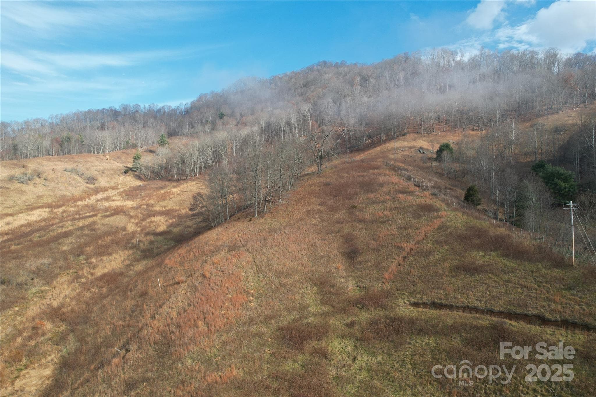 Acreage at 385 Fork Mountain Road, Bakersville, photo 2 of 21