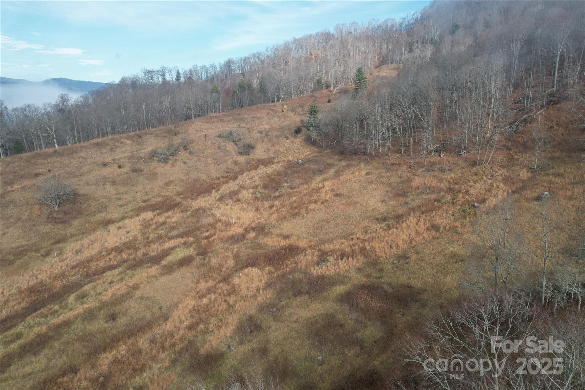Acreage at 385 Fork Mountain Road, Bakersville, photo 3 of 21
