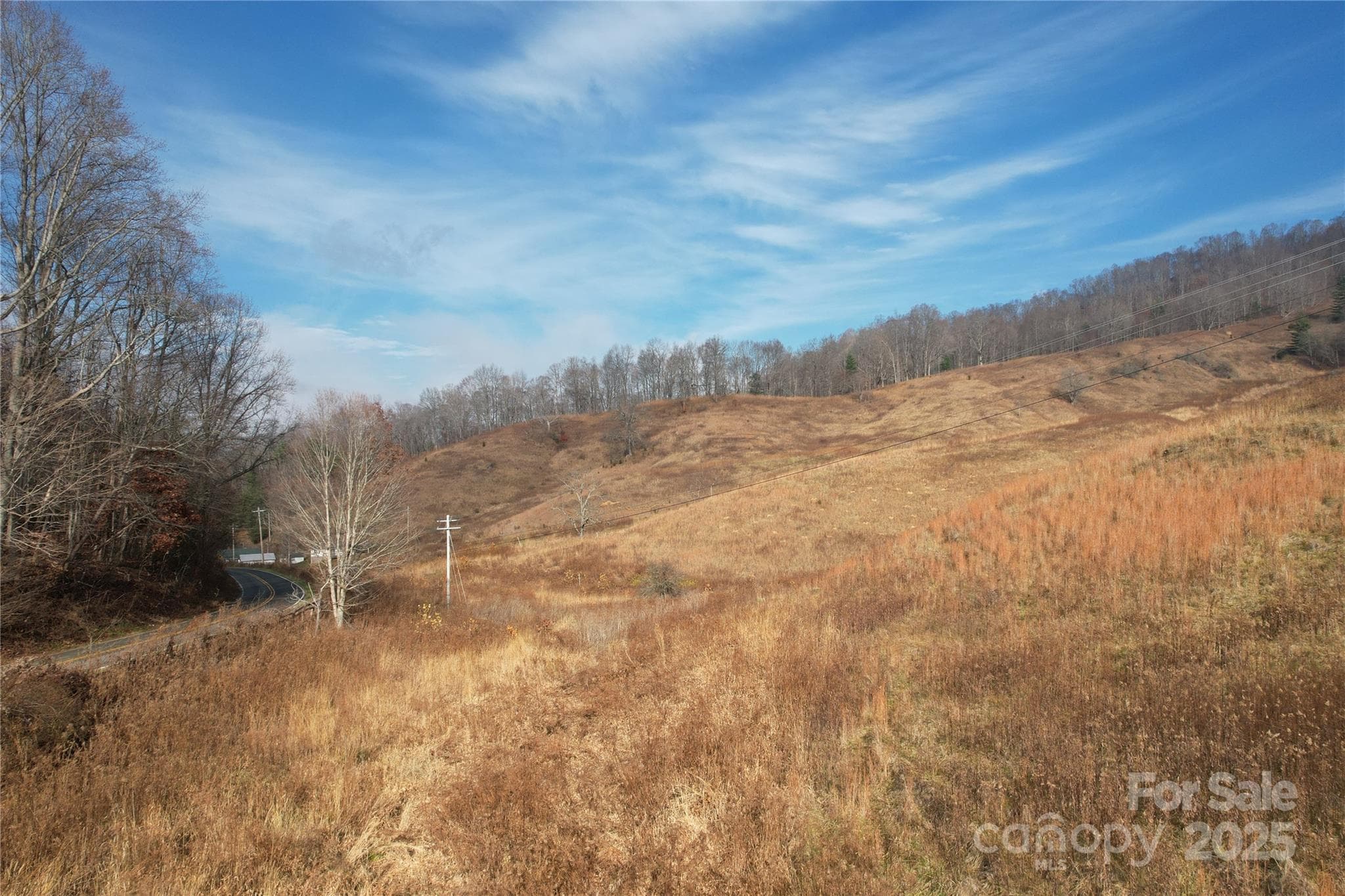 Acreage at 385 Fork Mountain Road, Bakersville, photo 4 of 21