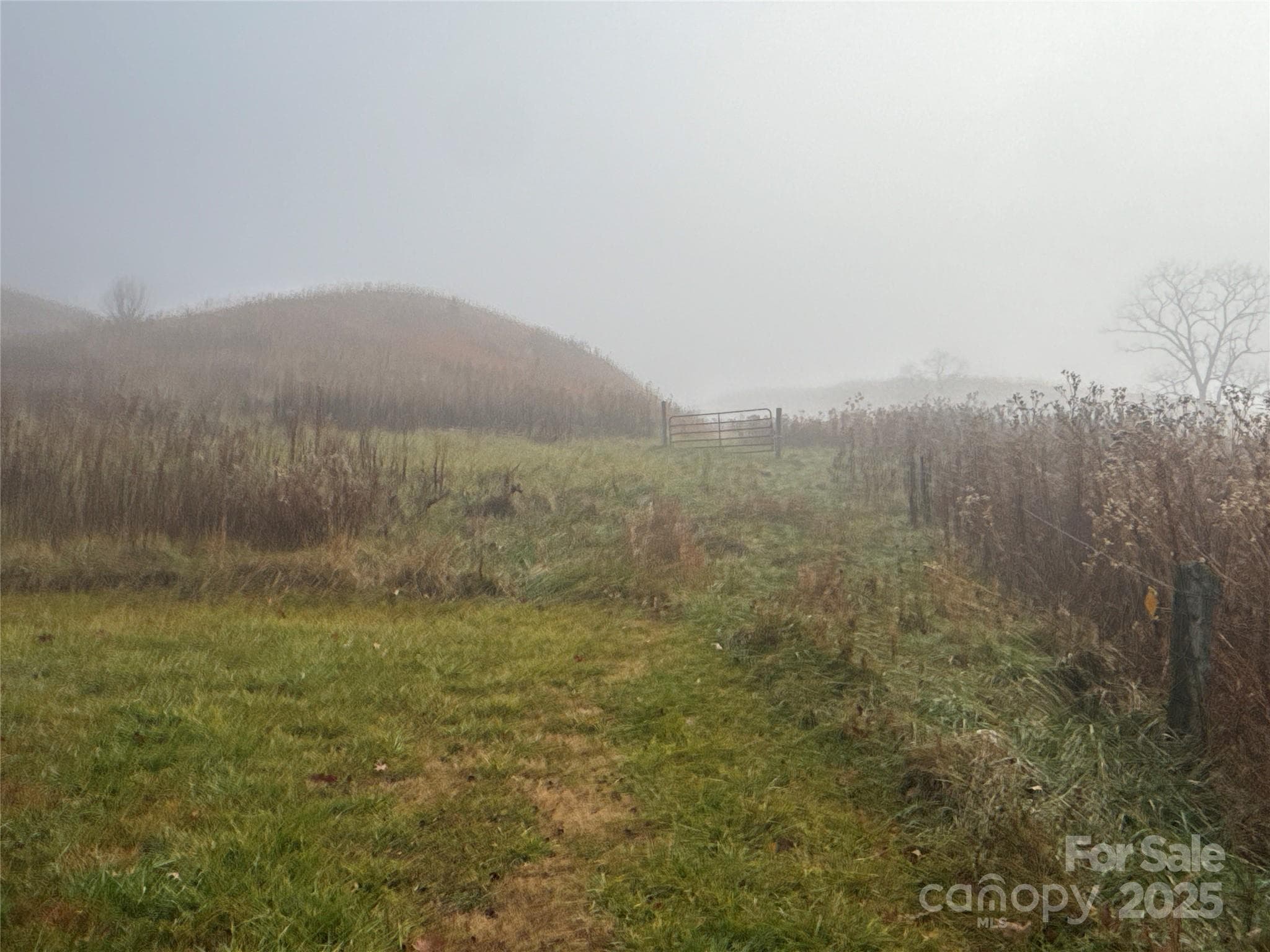 Acreage at 385 Fork Mountain Road, Bakersville, photo 6 of 21