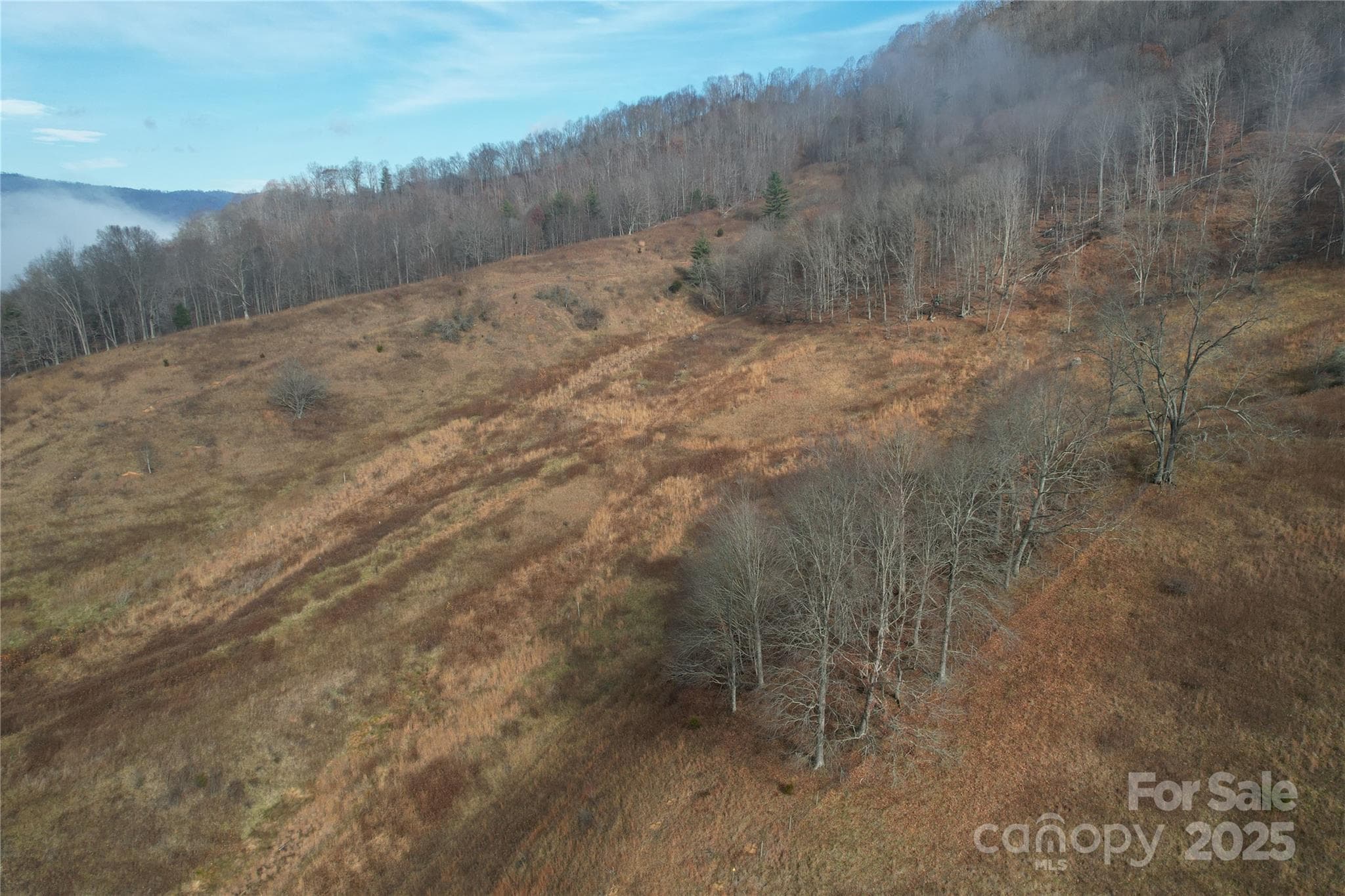 Acreage at 385 Fork Mountain Road, Bakersville, photo 10 of 21