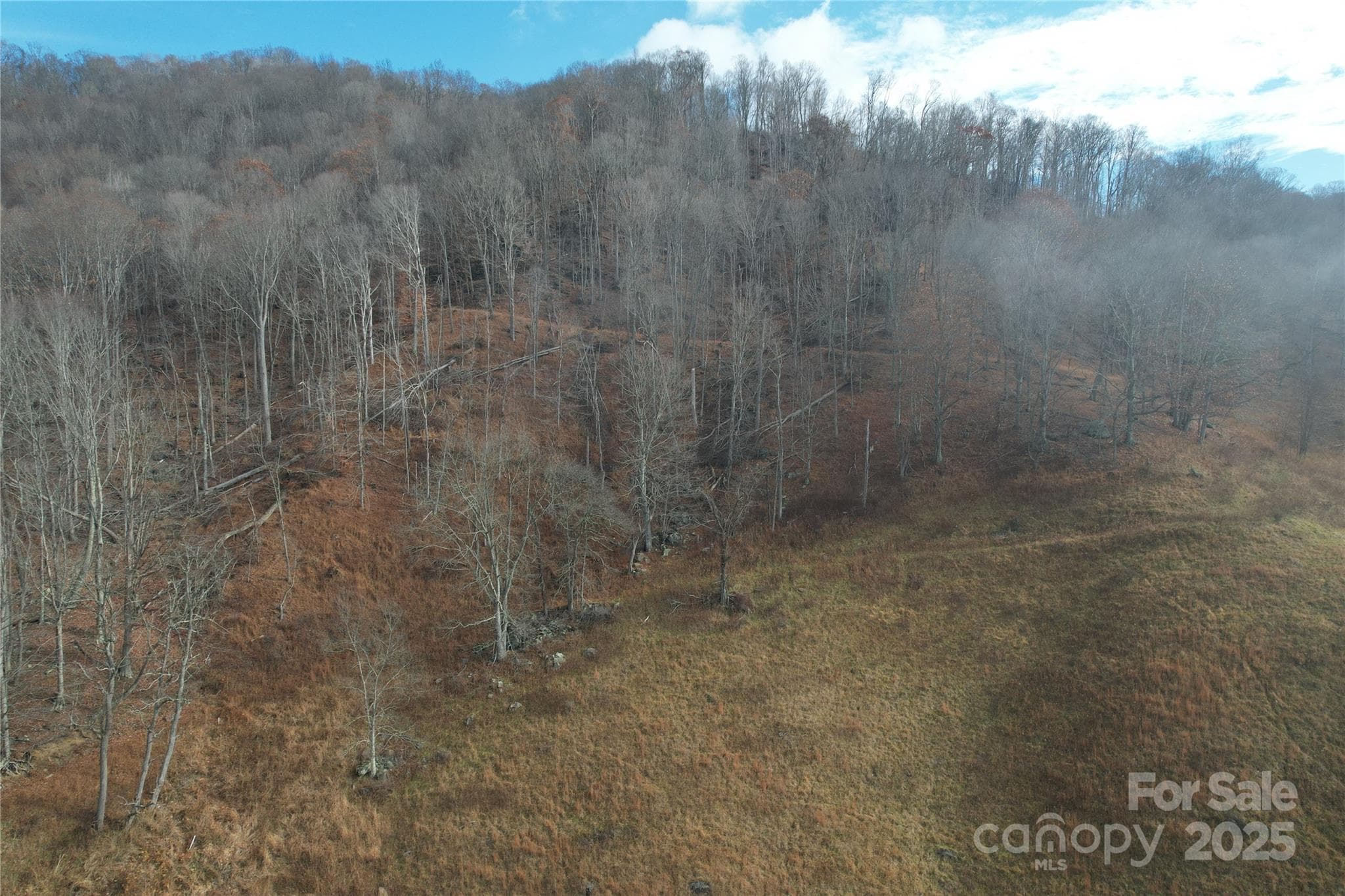 Acreage at 385 Fork Mountain Road, Bakersville, photo 11 of 21