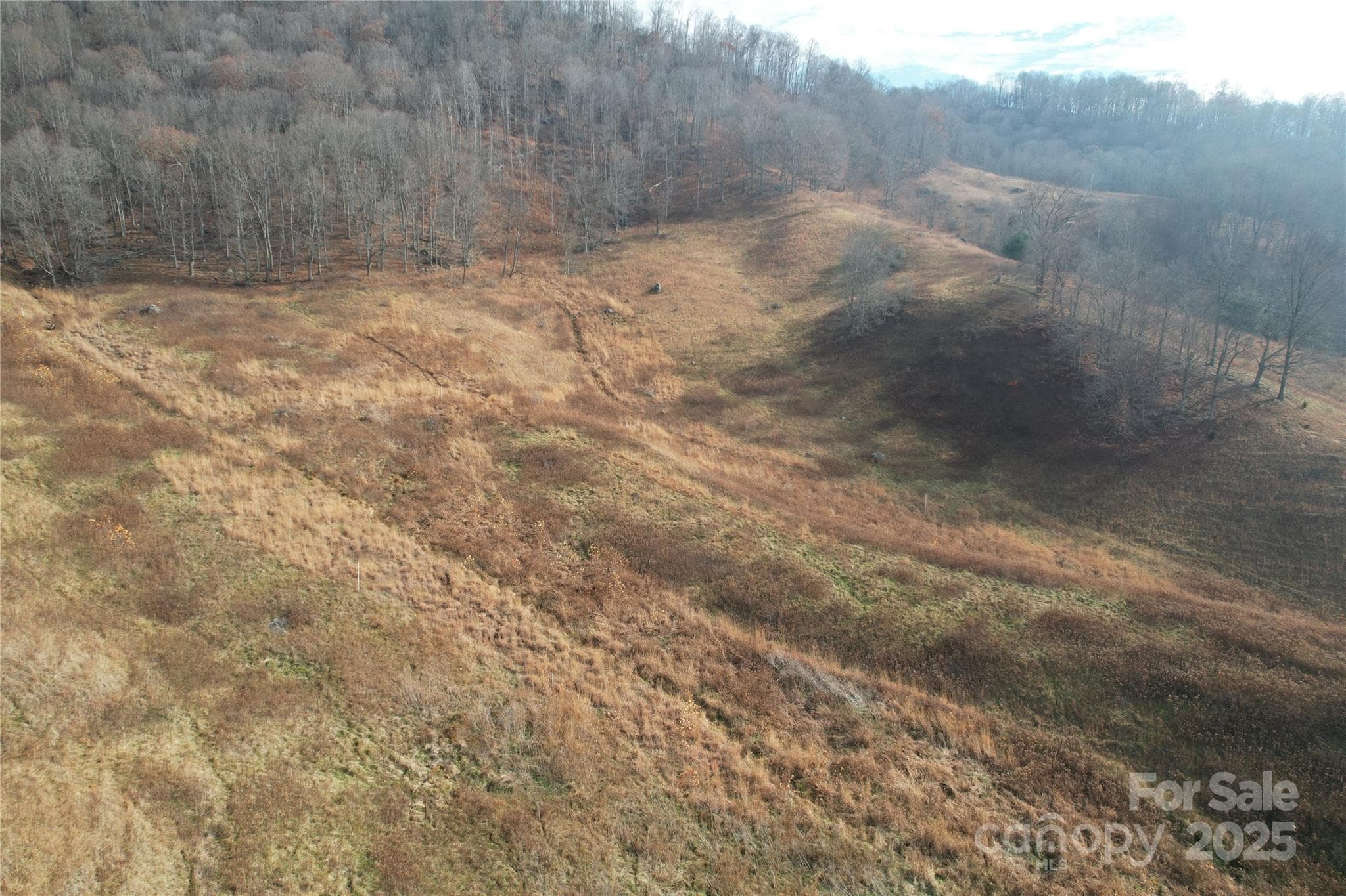Acreage at 385 Fork Mountain Road, Bakersville, photo 13 of 21