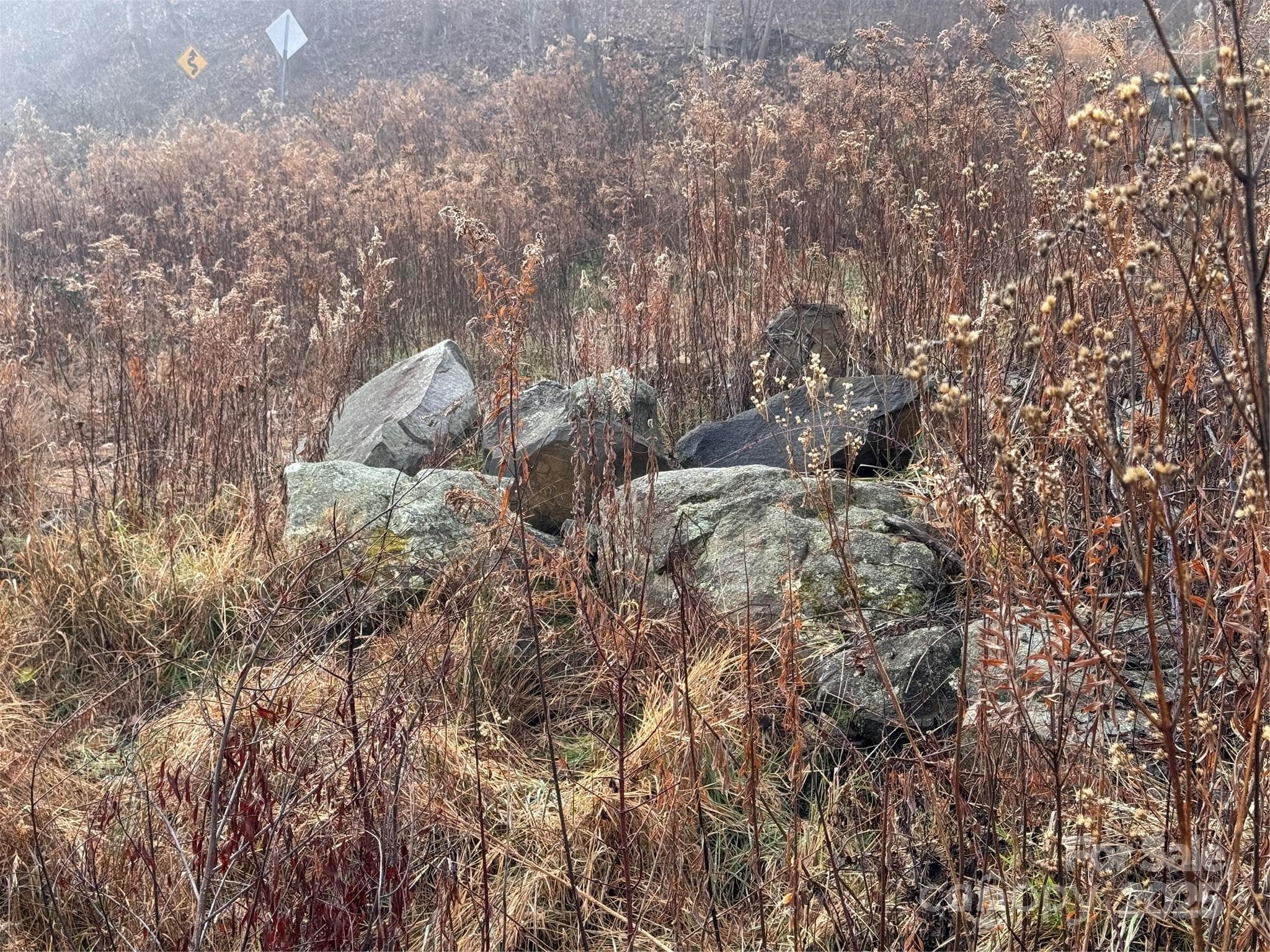 Acreage at 385 Fork Mountain Road, Bakersville, photo 16 of 21