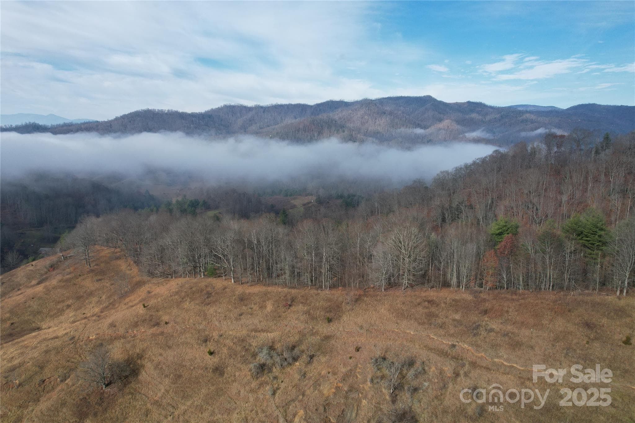 Acreage at 385 Fork Mountain Road, Bakersville, photo 19 of 21