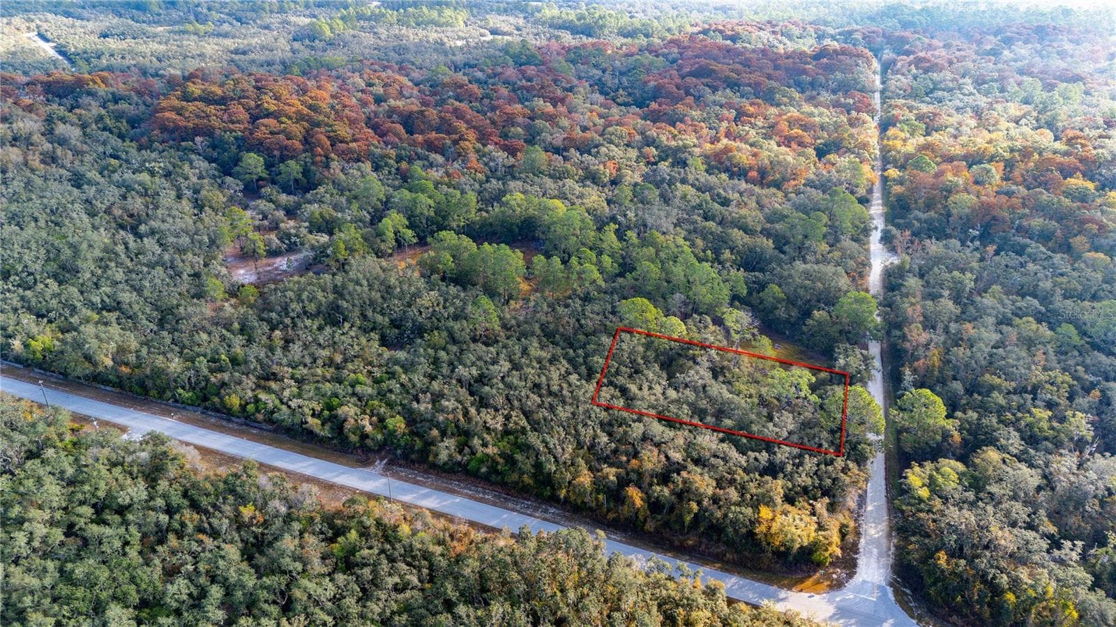 Land at 0 ROSE BLOOM LOT 7 AVE, WEBSTER, photo 4 of 11