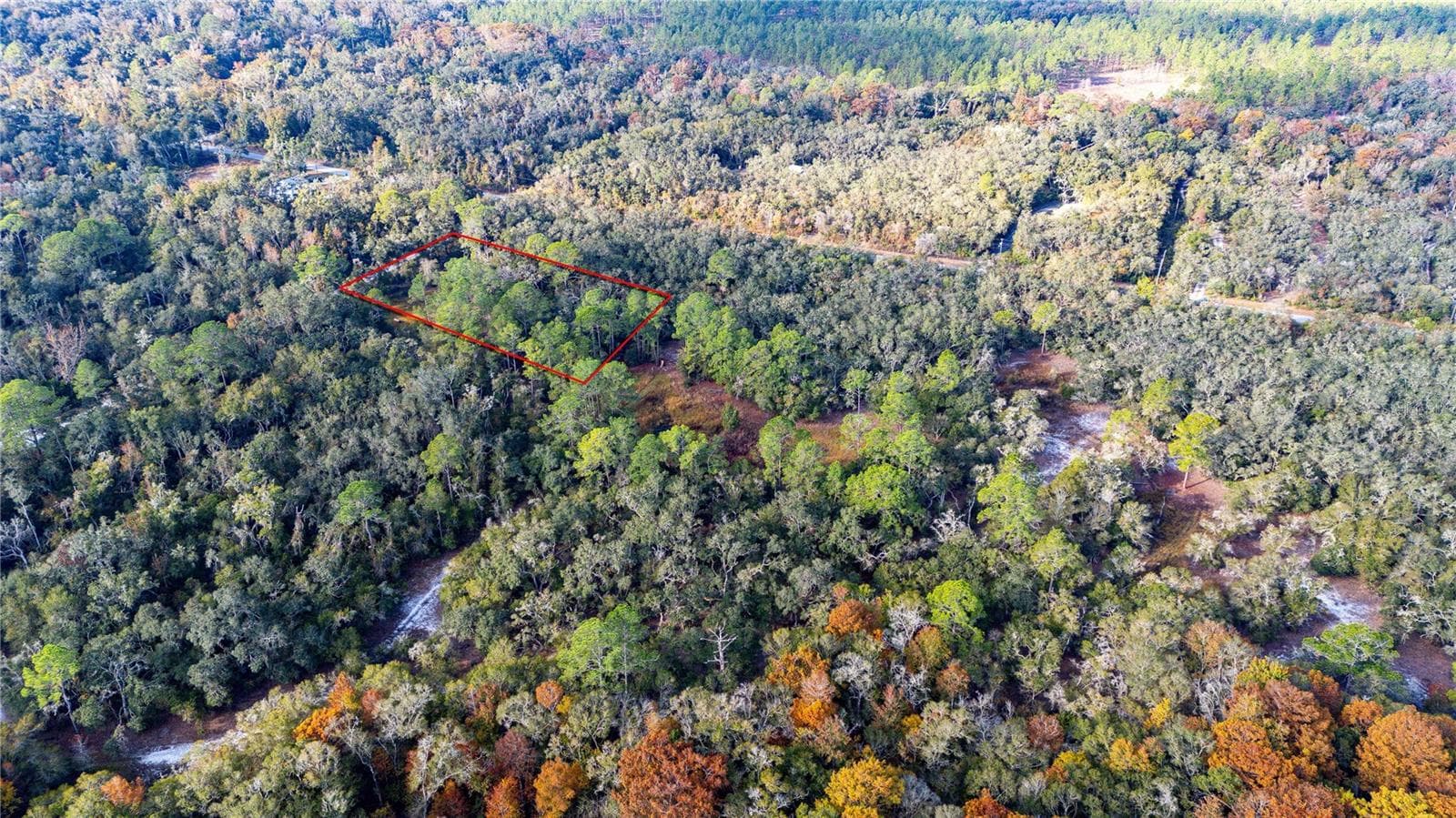 Land at 0 ROSE BLOOM LOT 7 AVE, WEBSTER, photo 9 of 11