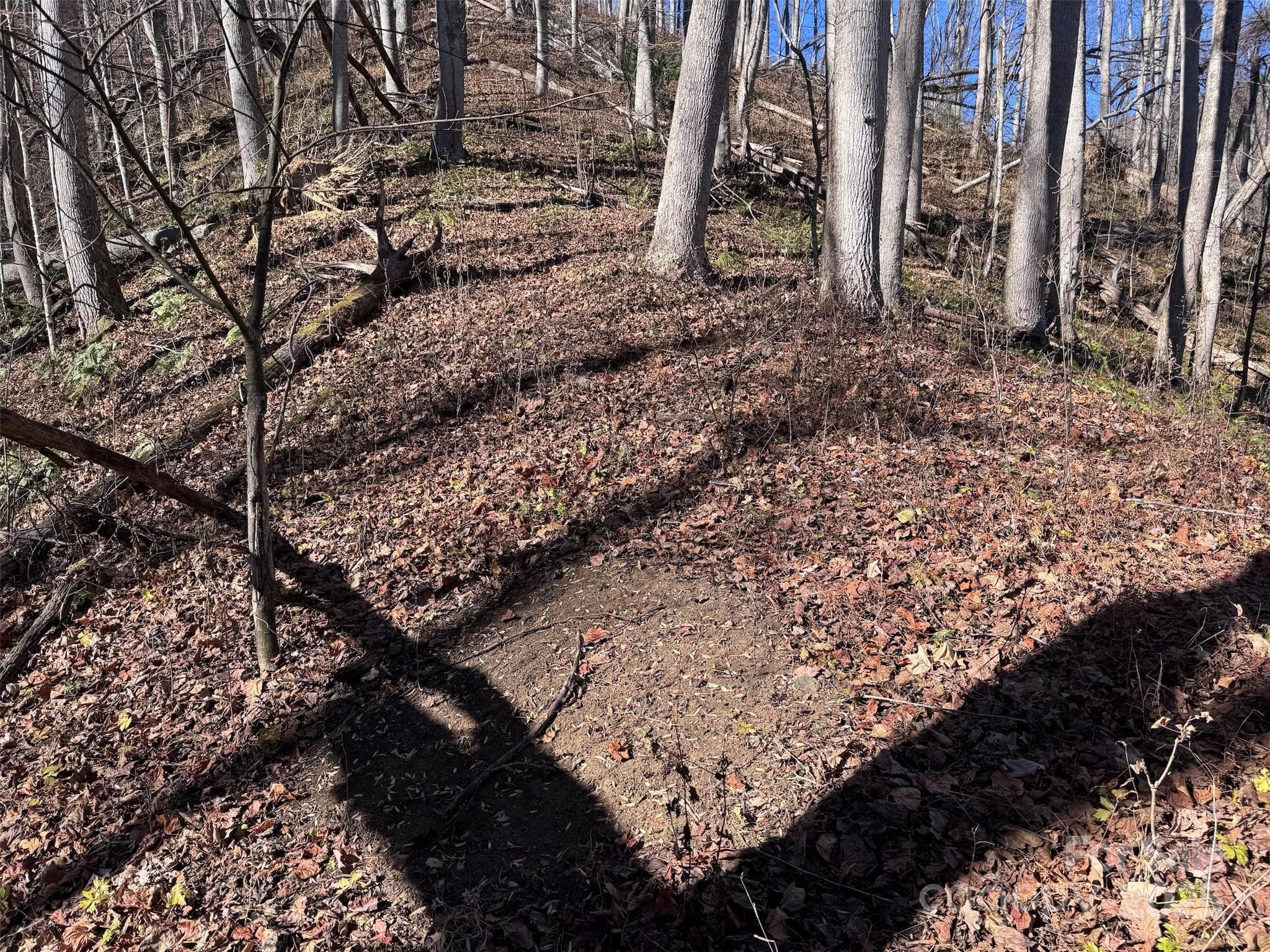 Acreage at Burnsville, photo 7 of 38