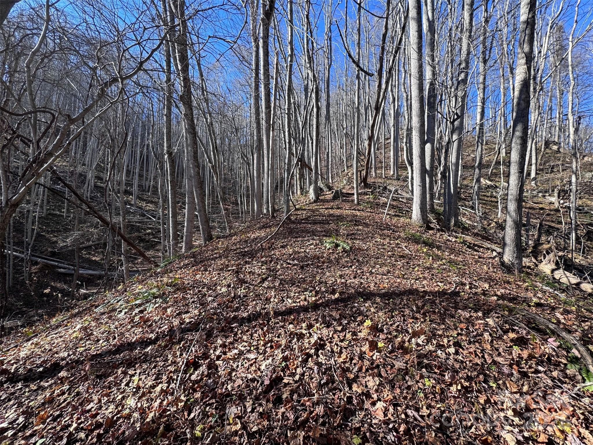 Acreage at Burnsville, photo 8 of 38