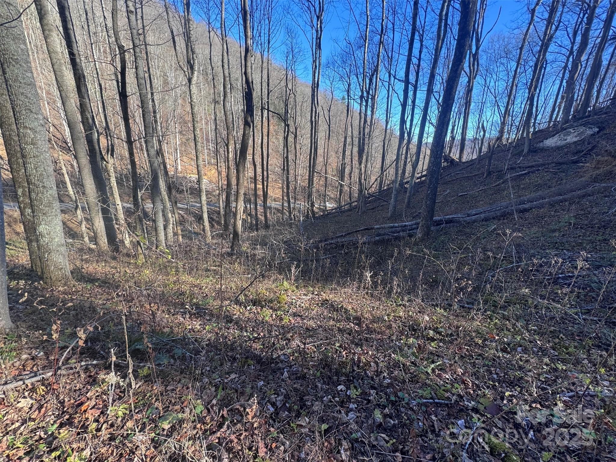 Acreage at Burnsville, photo 9 of 38