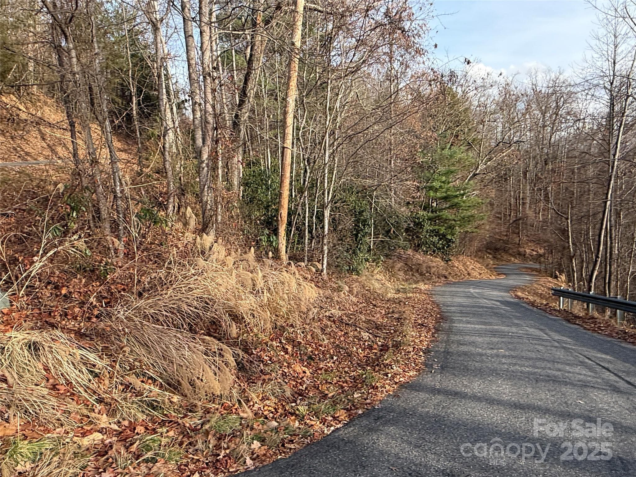 Lot at Weaverville, photo 19 of 23