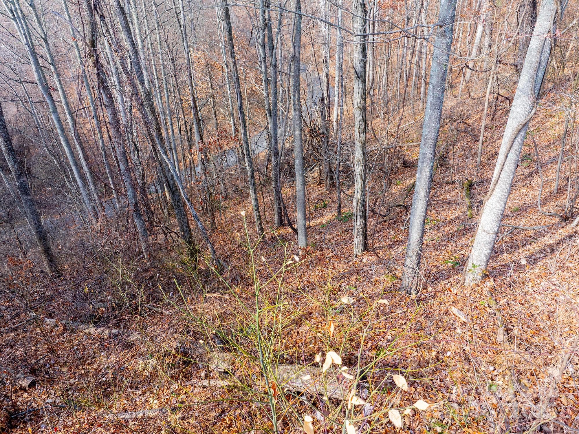 Lot at Weaverville, photo 22 of 23