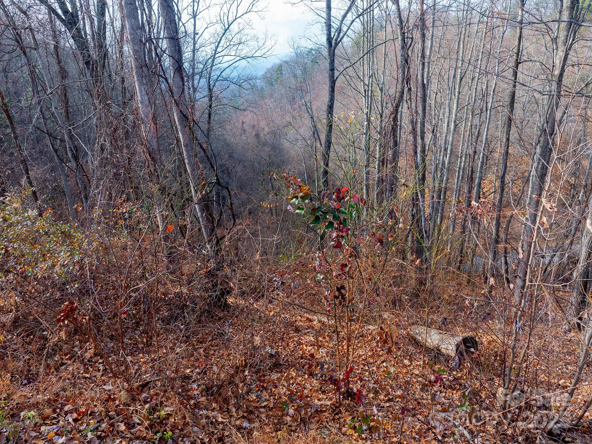 Lot at Weaverville, photo 23 of 23